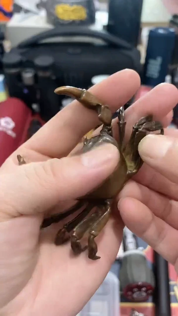 瓷片闪购商品 如图所示