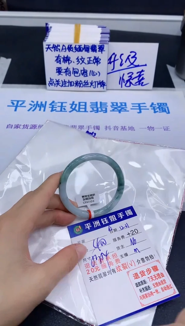 未镶嵌手镯翡翠11111