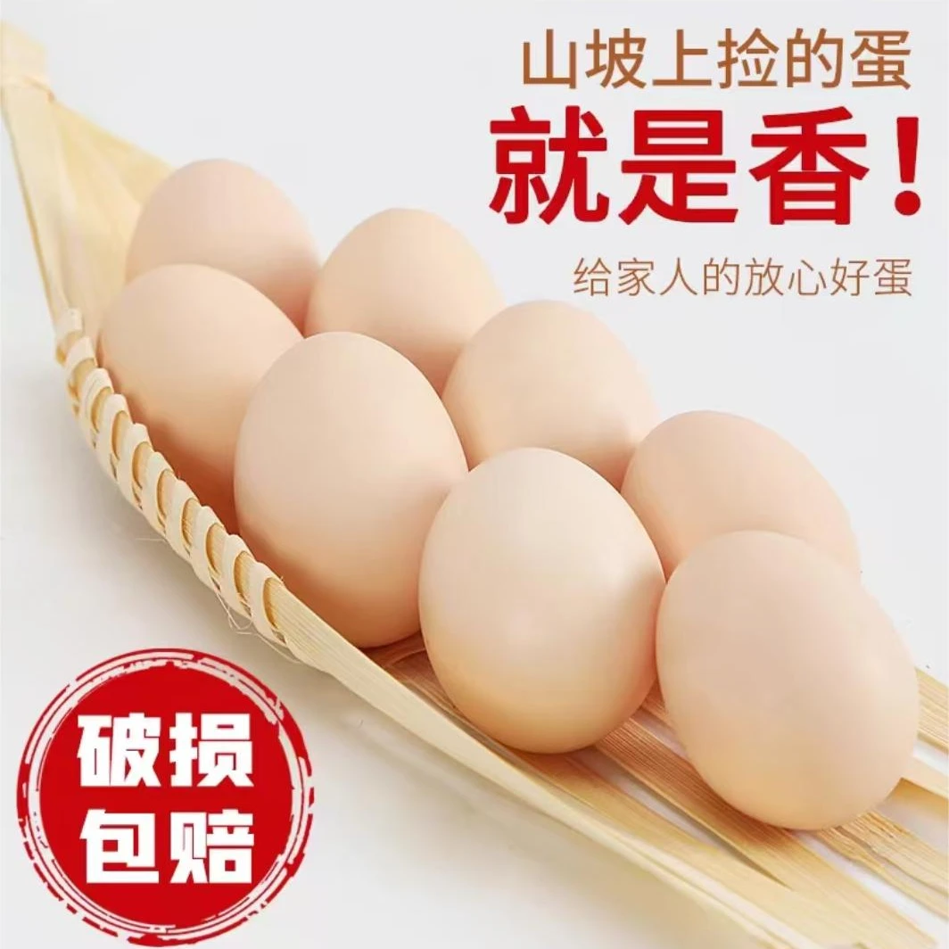 正宗谷物鲜鸡蛋农家散养土鸡蛋买30买送20枚 45克/枚 净重4.5斤