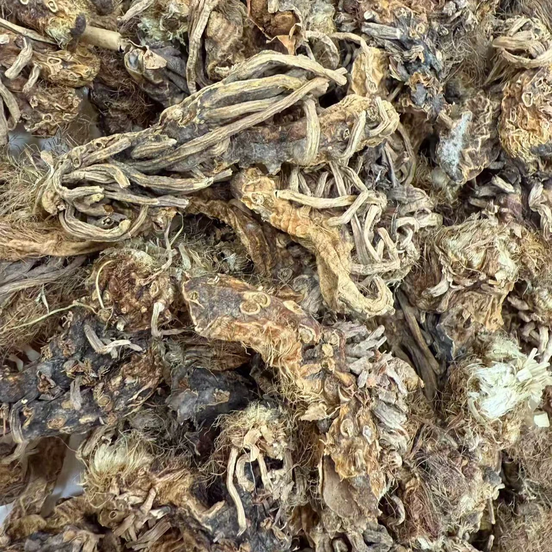 太白山穿山龙 精选整根
