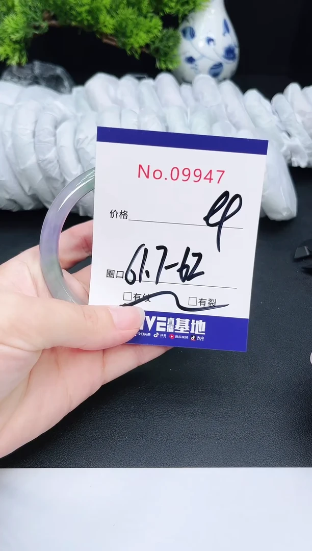 未镶嵌手镯翡翠9947