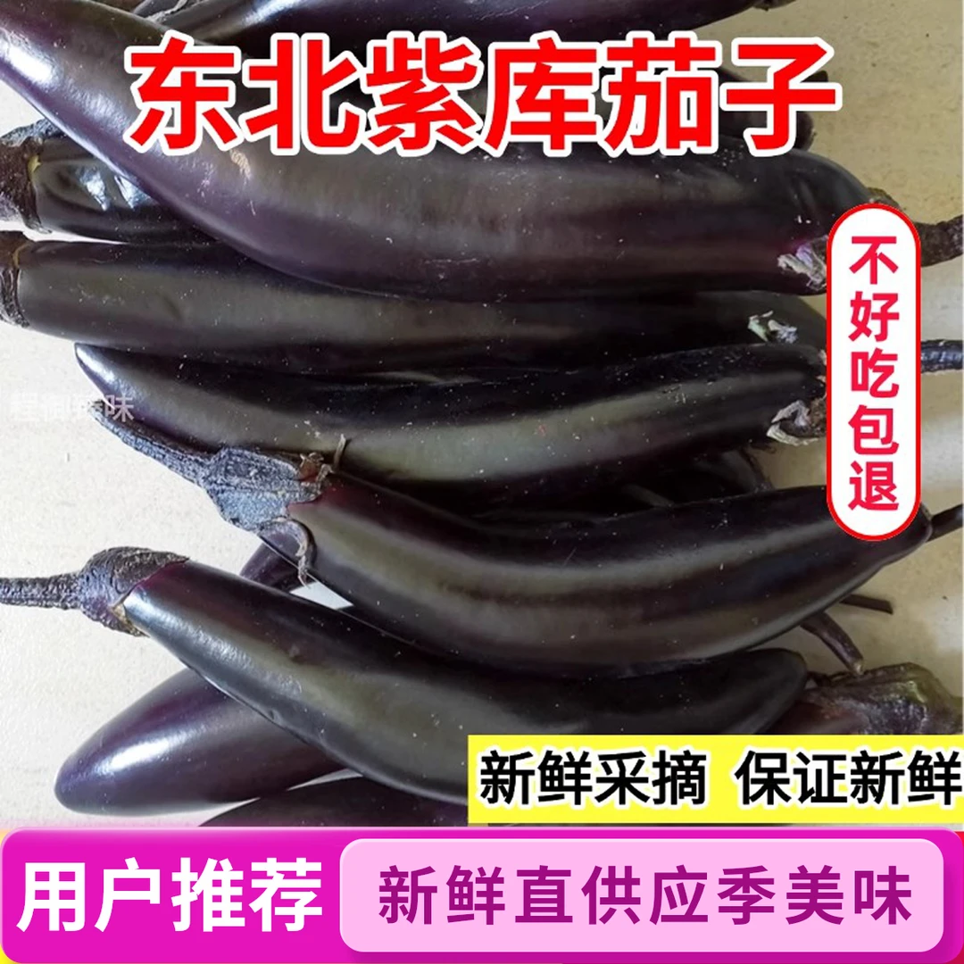 东北新鲜紫把大地紫皮长茄可生吃当季现摘嫩茄子