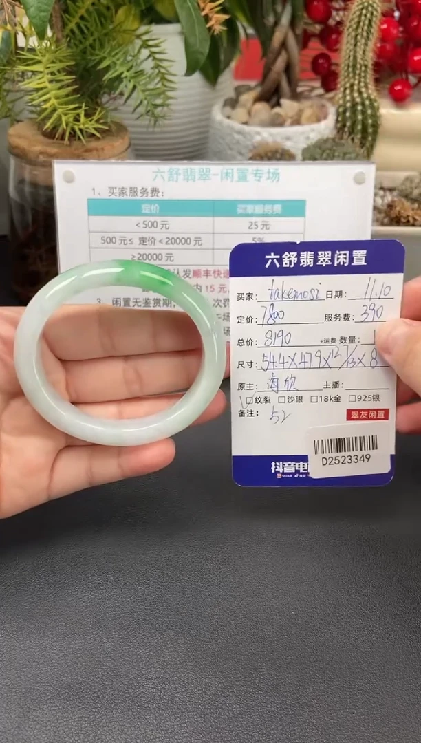未镶嵌手镯翡翠t****iD2523349