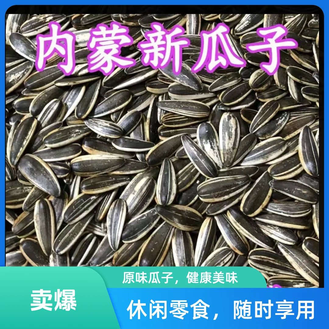 H【到手3斤内蒙生瓜子】新货大颗粒363葵花籽工厂批发【精选】