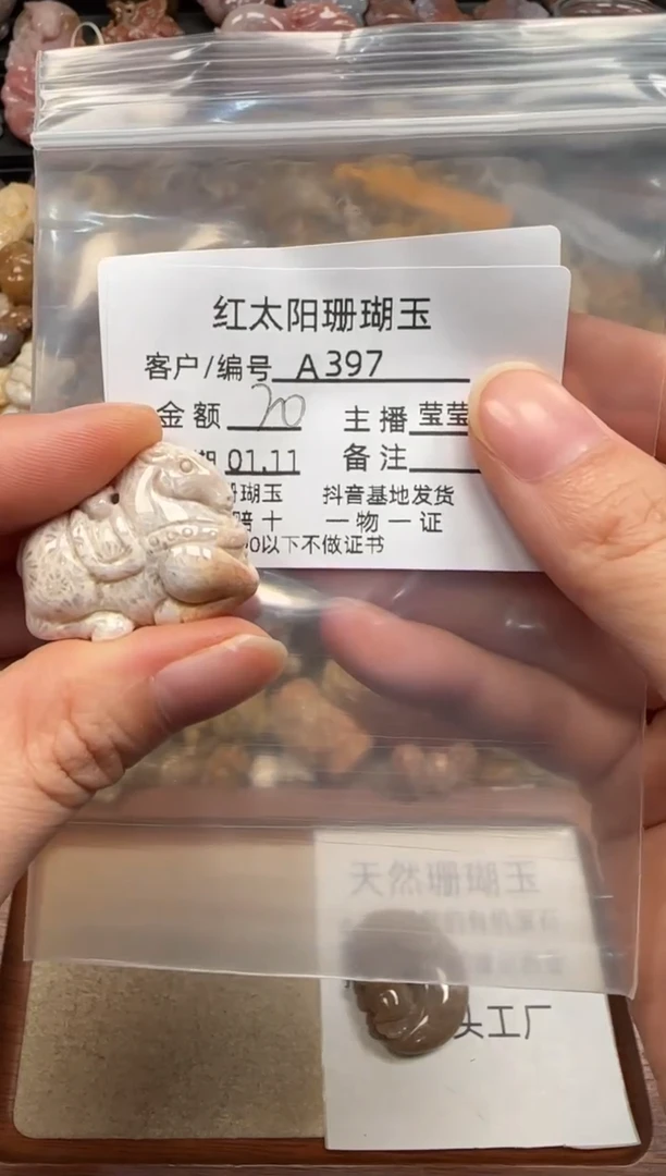 【闪购商品】硅化珊瑚（珊瑚玉）颈饰未镶嵌397