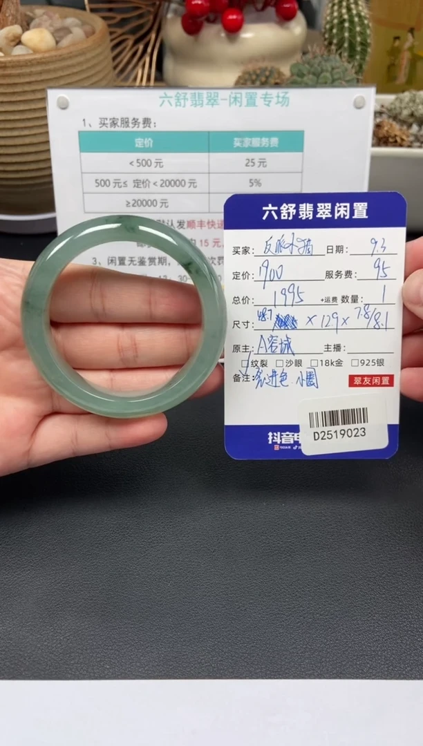 未镶嵌手镯翡翠反****噜D2519023