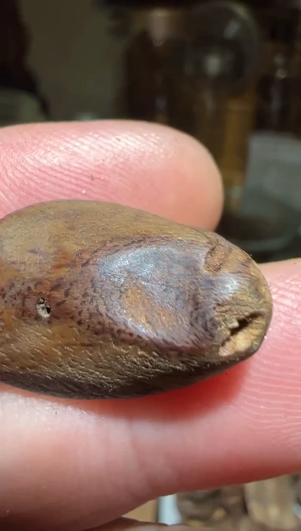 沉香碎屑沉香马泥涝0.8克