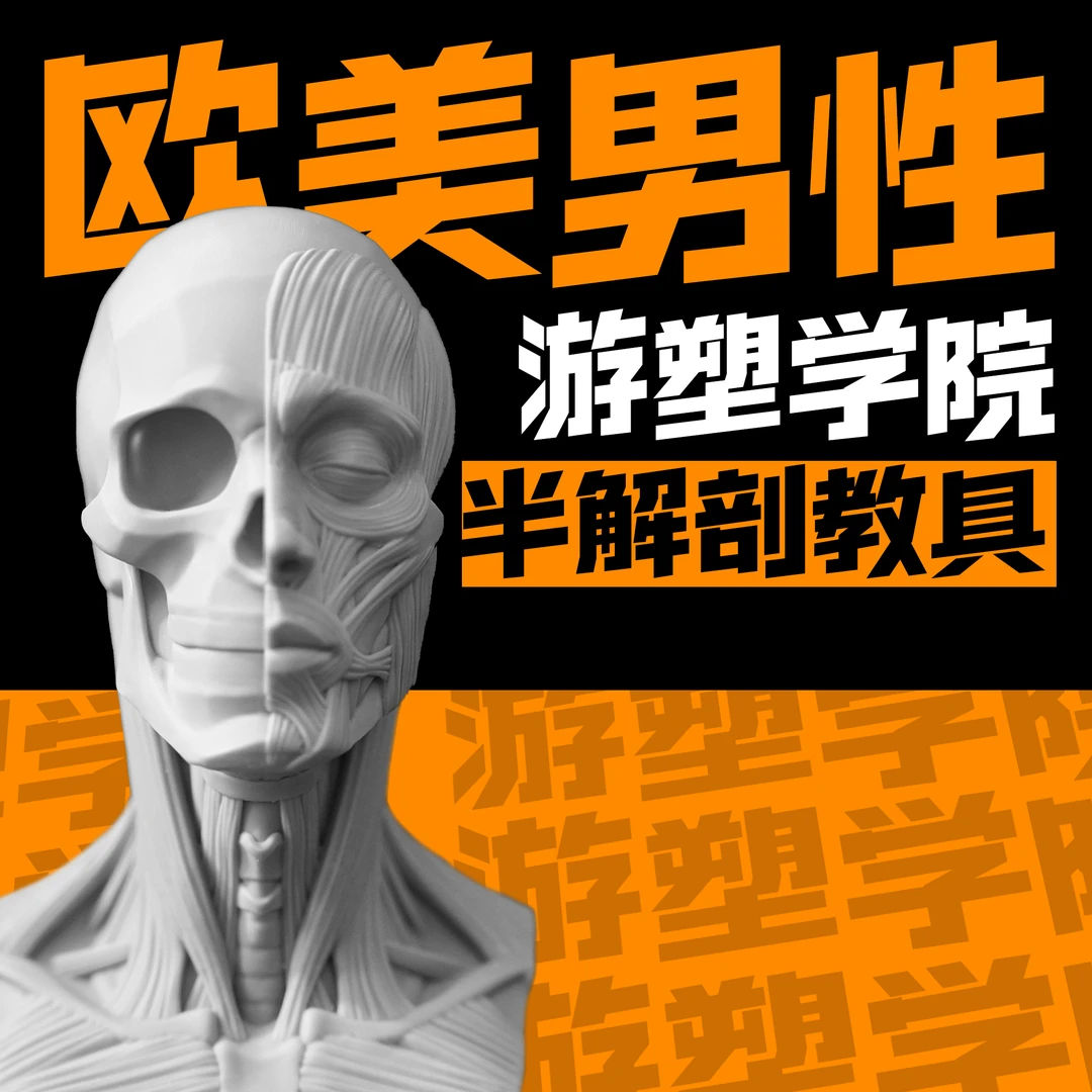 游塑学院肌肉骨骼解剖男性人头艺术雕刻3d模型树脂美术室教具