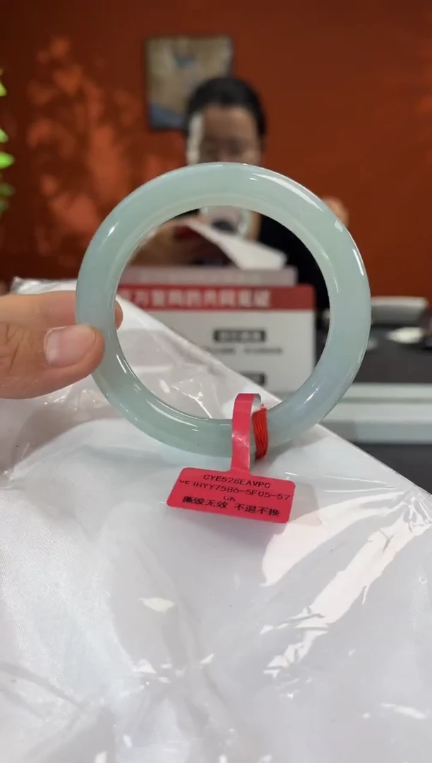 未镶嵌手镯翡翠11111
