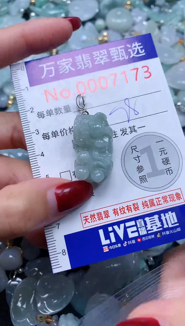 颈饰未镶嵌翡翠7173