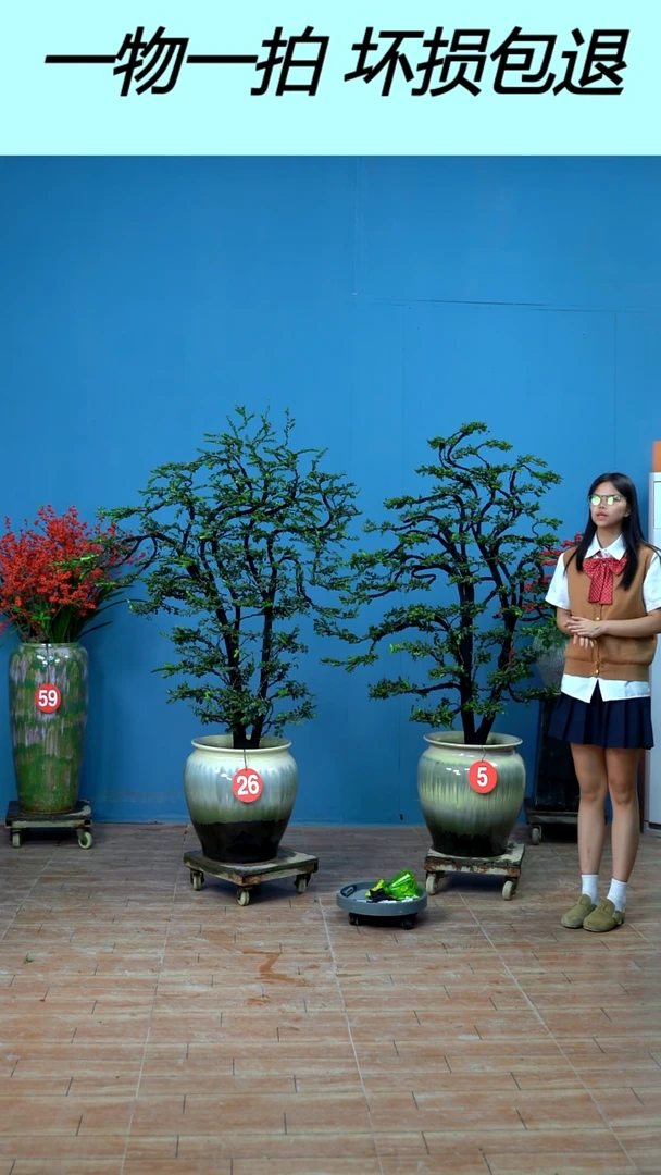 以实际为准栖****铺广东小叶紫檀