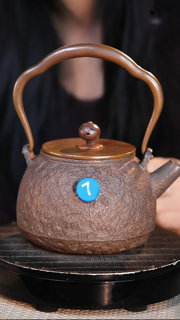 铁壶专属链接定向——————岩铁壶 - 1000ml - 蓝7