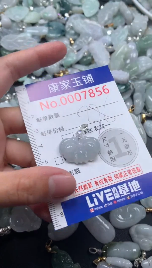 颈饰未镶嵌翡翠7856