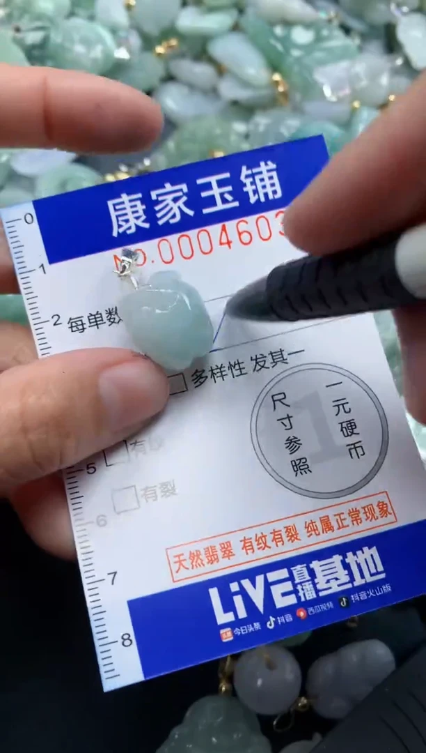 颈饰未镶嵌翡翠4603