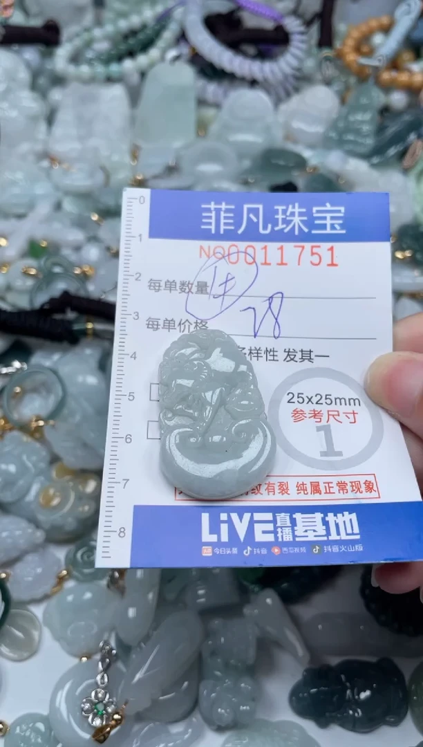 颈饰未镶嵌翡翠11751