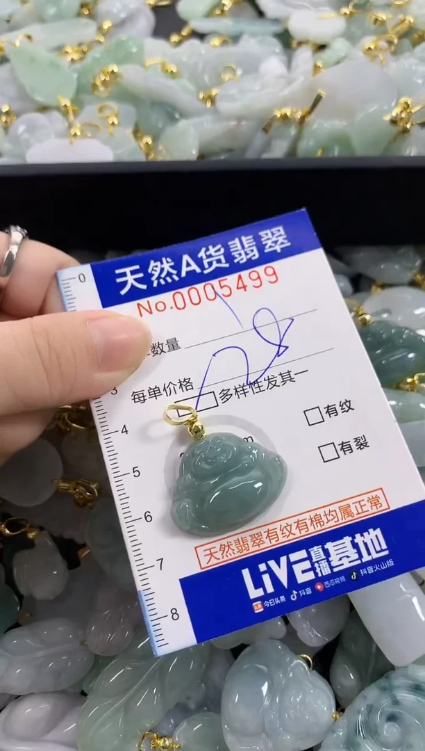 颈饰未镶嵌翡翠天然A货翡翠