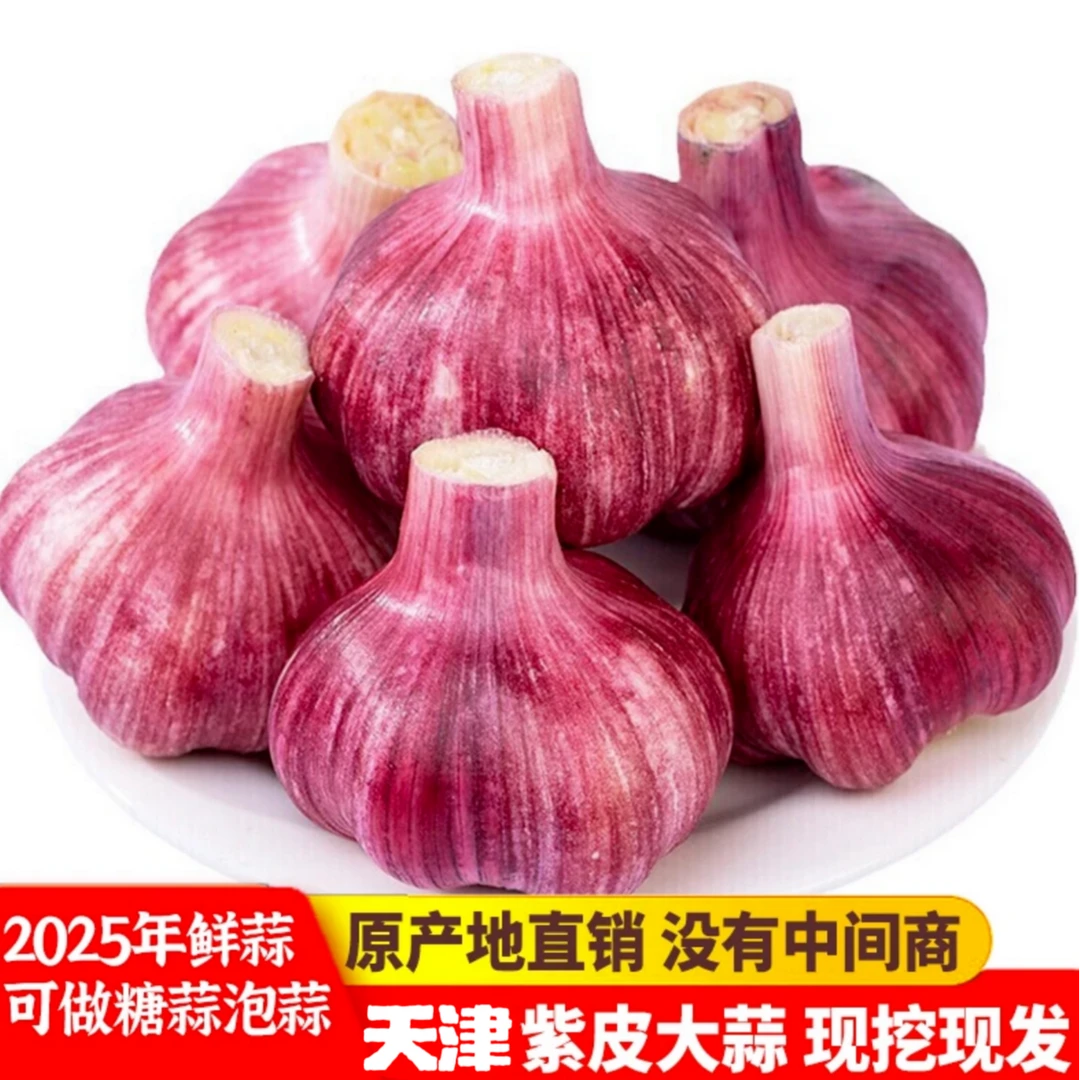 【汇峰农场】天津紫皮新蒜40头净重3.5斤顺丰包邮