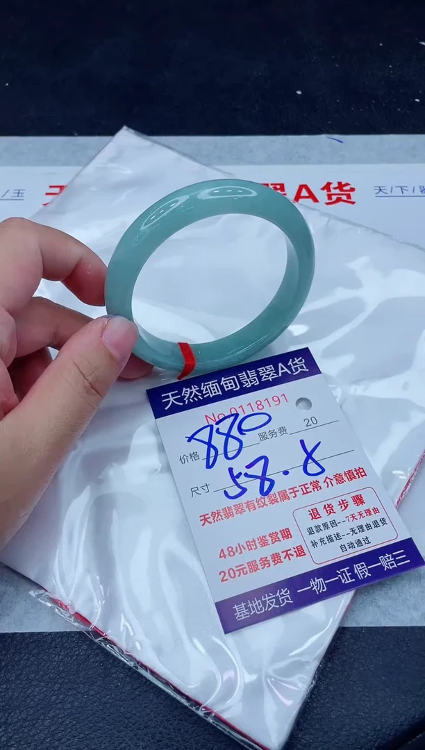 未镶嵌手镯翡翠880.0000