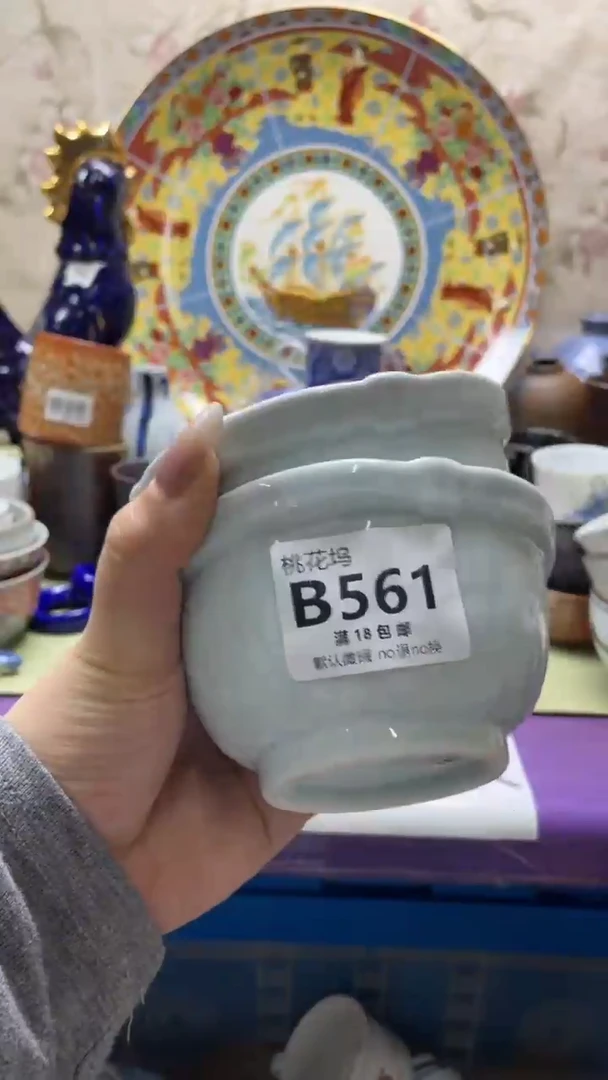 瓷片春***师默认微瑕，谨慎参拍B561