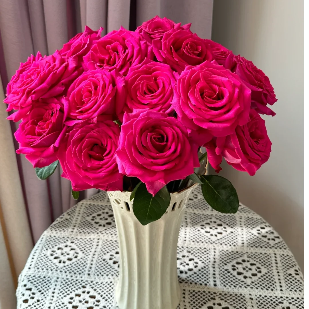 弗洛伊德玫瑰10支【全店任意满2件发顺丰京东】云南鲜花基地直发