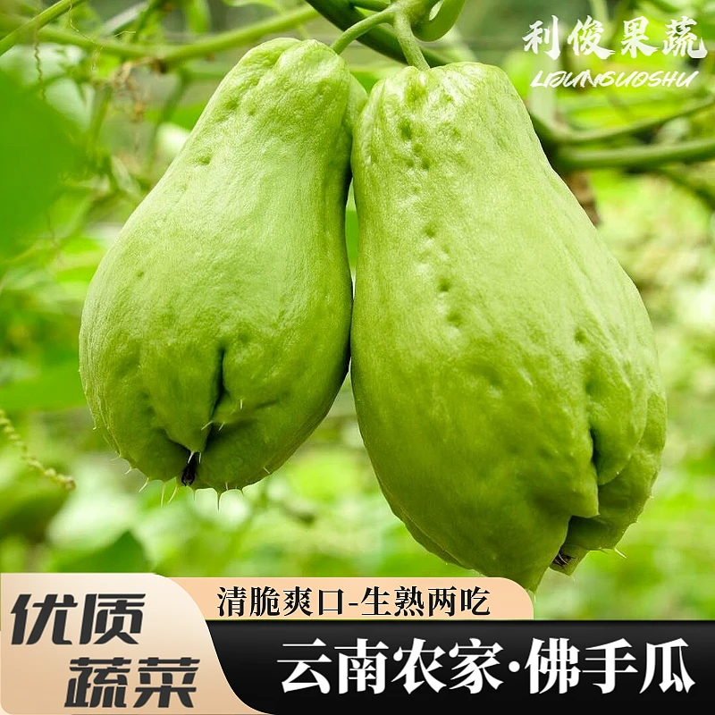 云南佛手瓜新鲜农家蔬菜洋丝瓜丰收福寿瓜隼人窝捧瓜顺丰