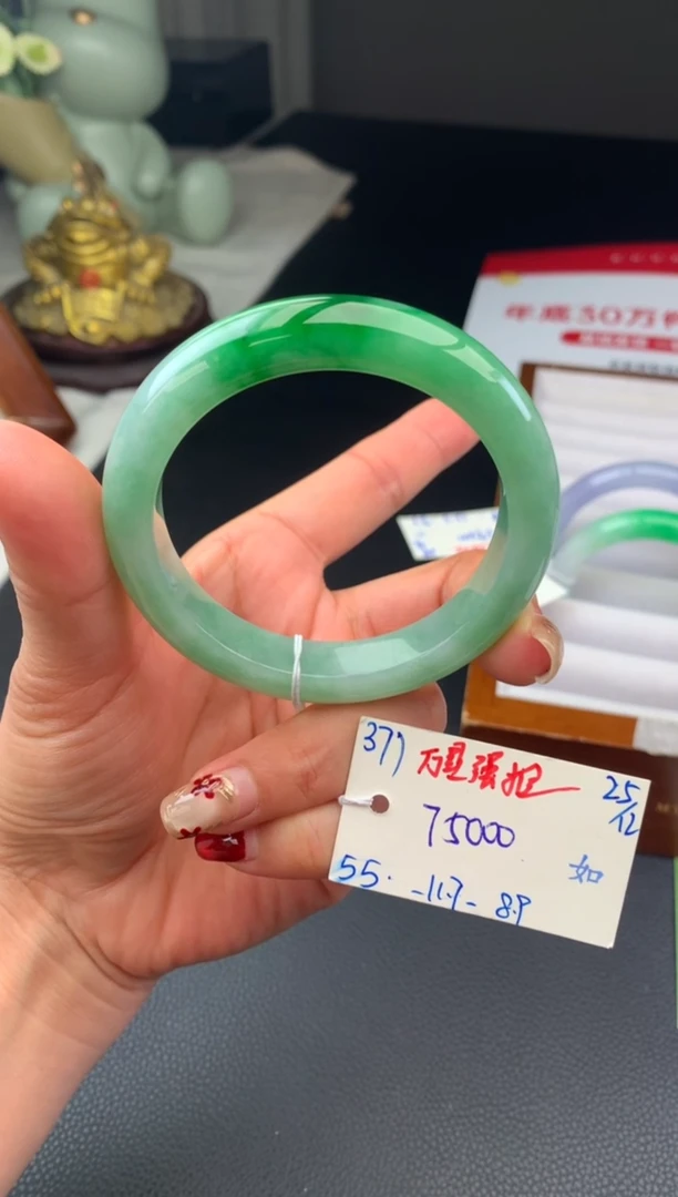 未镶嵌手镯翡翠假一赔三   手镯