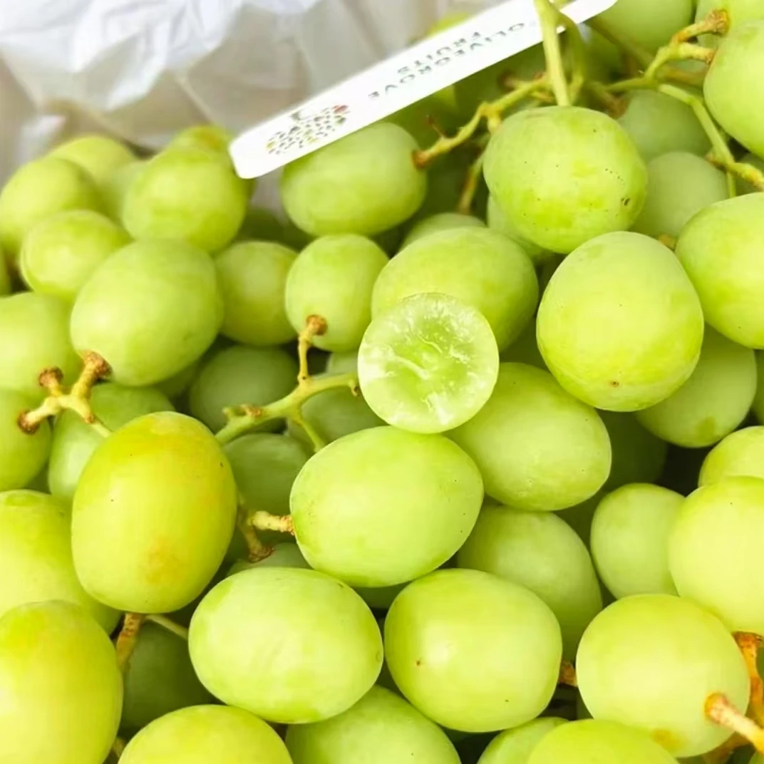 【澳洲甜地球】澳大利亚进口甜地球脆甜无籽葡萄新鲜水果包邮G