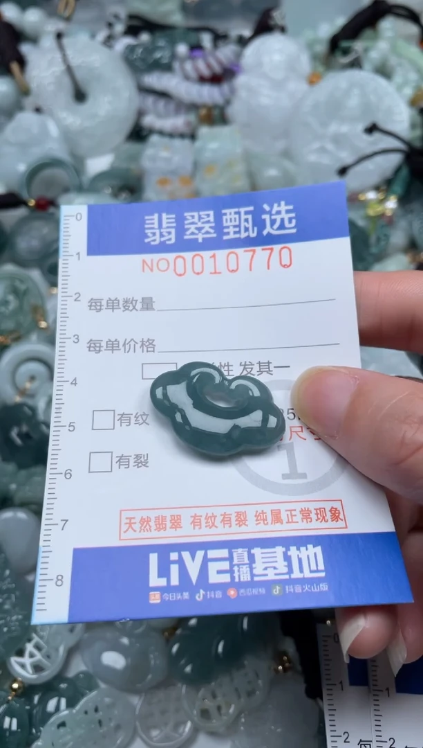 颈饰未镶嵌翡翠10770