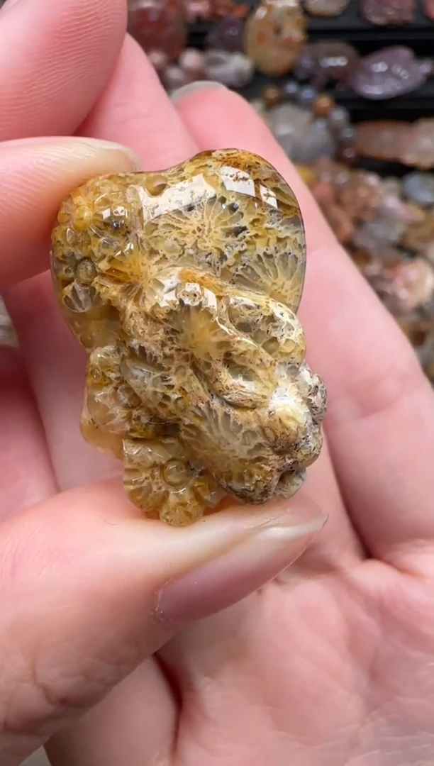 颈饰未镶嵌硅化珊瑚（珊瑚玉）359