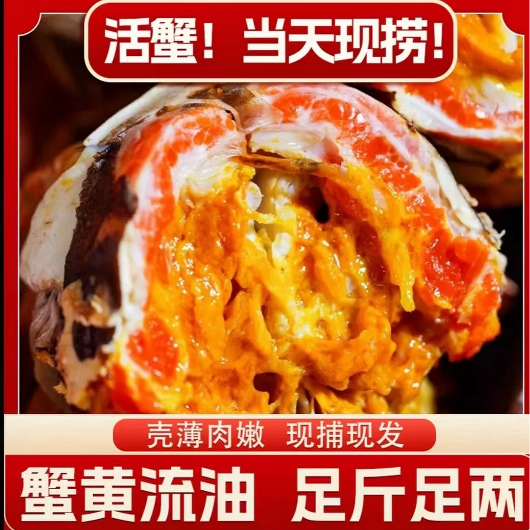 【活蟹河蟹】精品大闸蟹现捕现发螃蟹全母2.3-2两10只