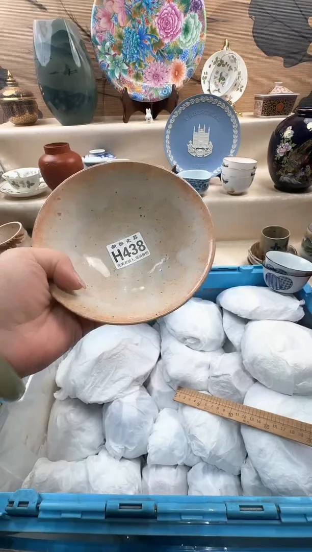 瓷片蘭*           H438