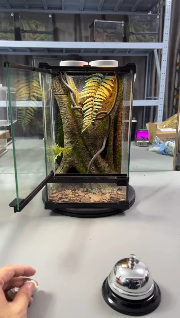 玻璃【长20宽20高30】爬宠造景缸睫角守宫树栖蜘蛛饲养箱爬宠爬虫缸