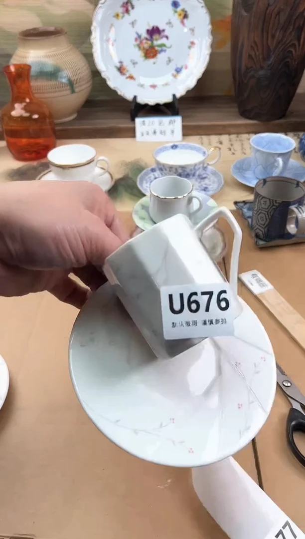 瓷片虹676