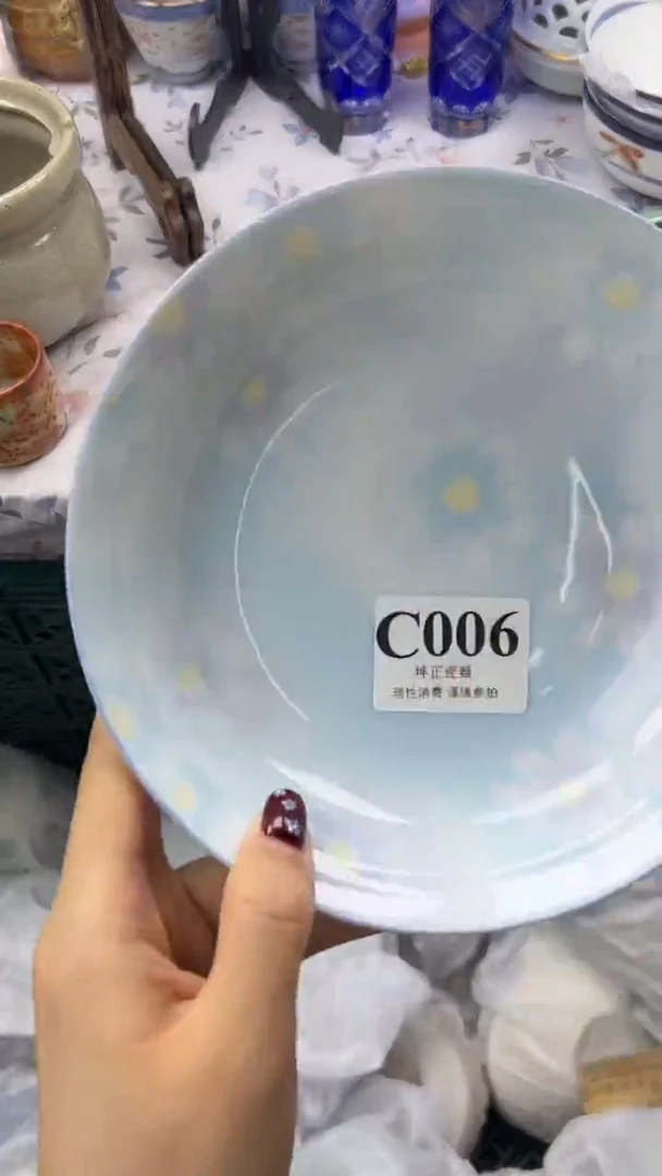 瓷片          C006