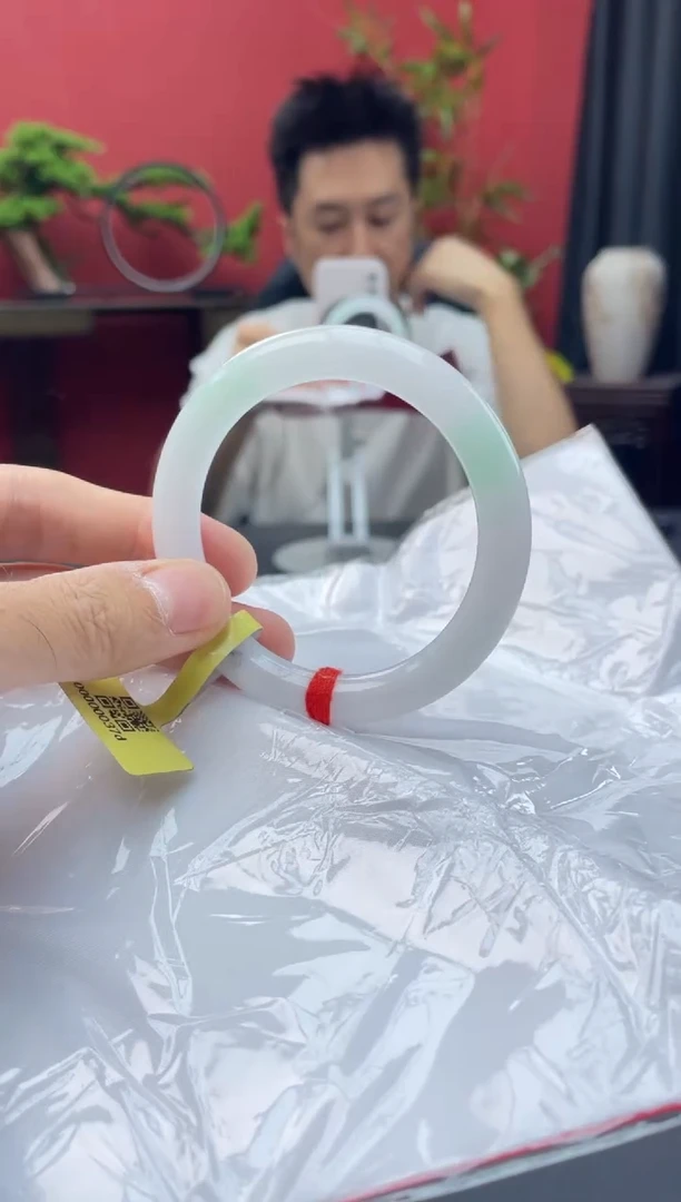 未镶嵌手镯翡翠12