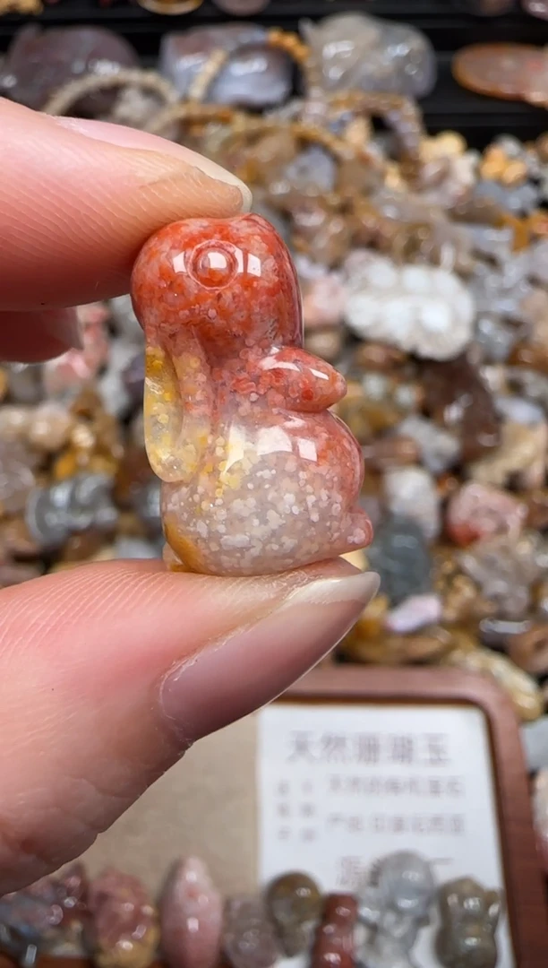 硅化珊瑚（珊瑚玉）未镶嵌颈饰719
