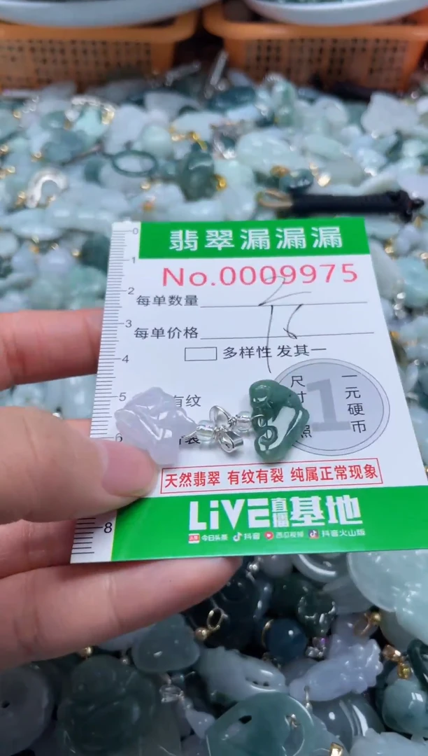 颈饰未镶嵌翡翠9975