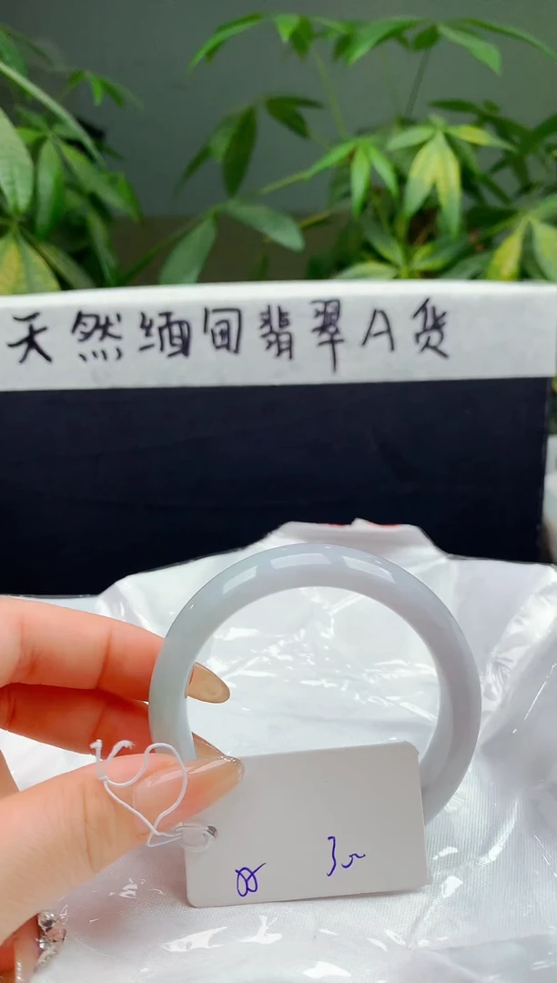 未镶嵌手镯翡翠113