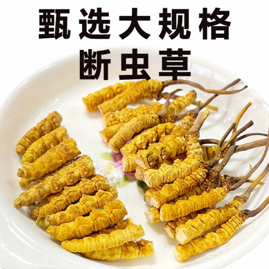 【日照金山】头茬【鲜断草20克】适合自用鲜断冬虫夏草