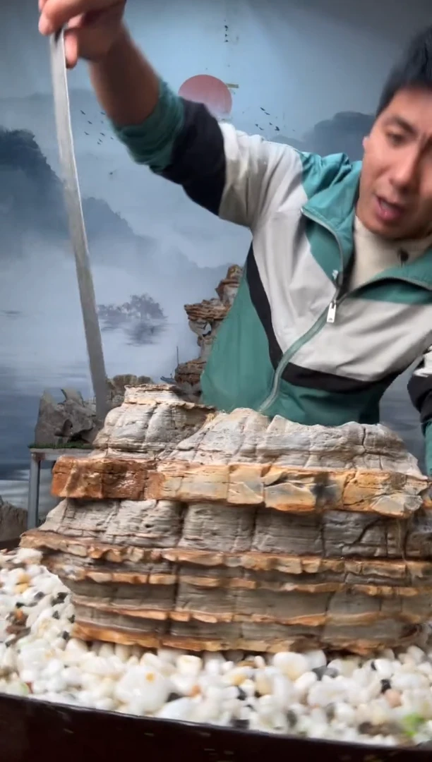 直播一物一拍链接