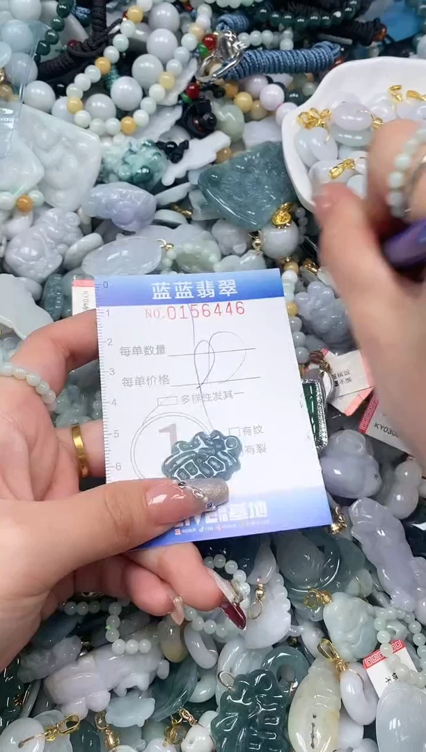 【闪购商品】翡翠颈饰未镶嵌闪购0156446多样性发其一