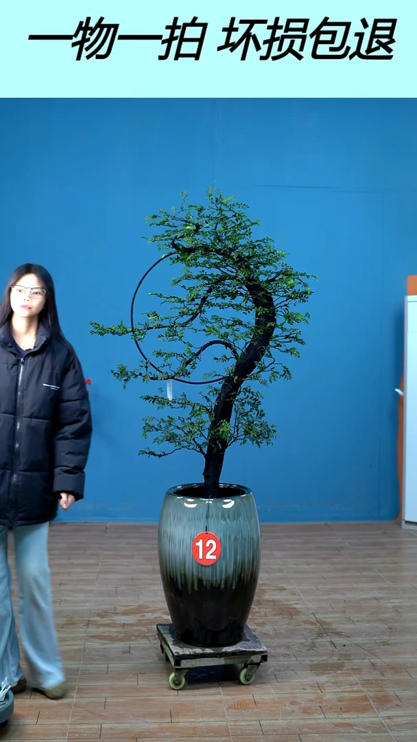 以实际为准万*广东小叶紫檀