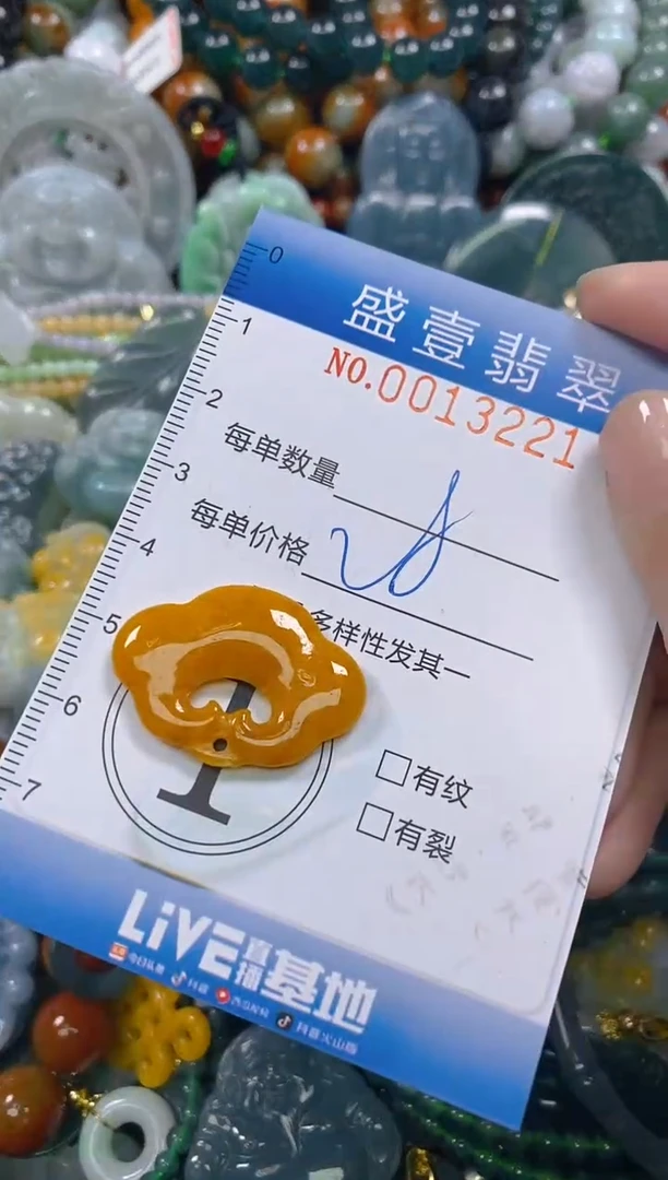 颈饰未镶嵌翡翠闪购0013221