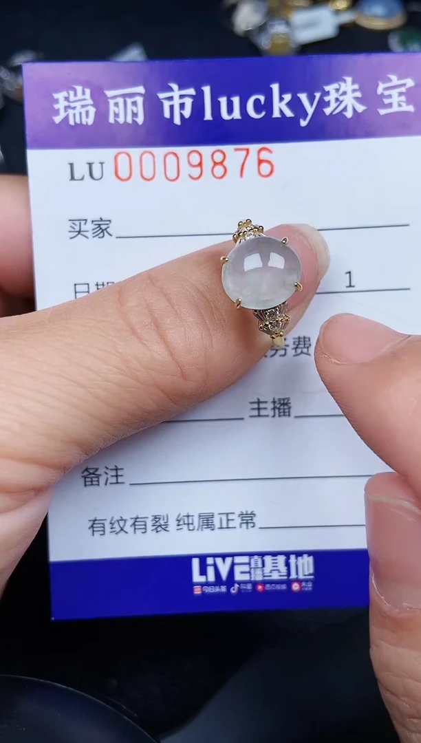 翡翠银S925镶嵌颈饰9876