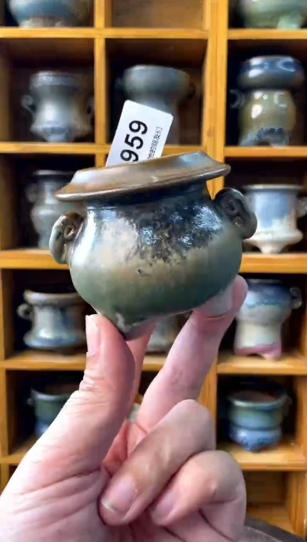 959【多肉花盆多肉盆】