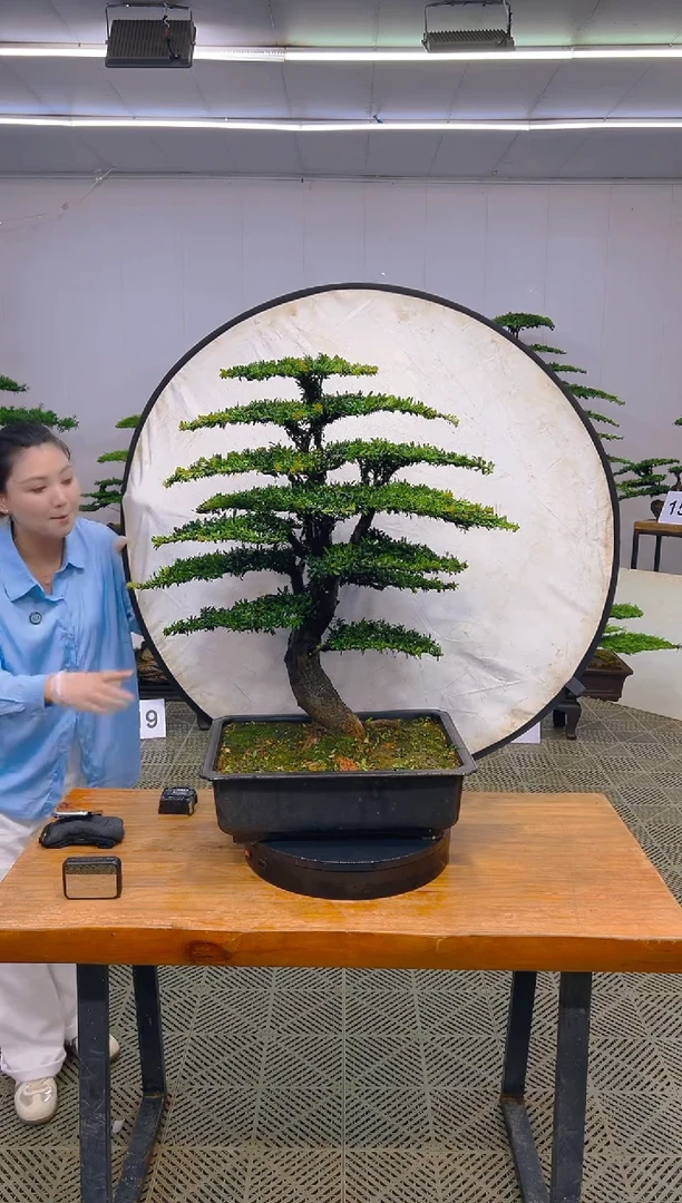 无花朵一物一拍一物一拍