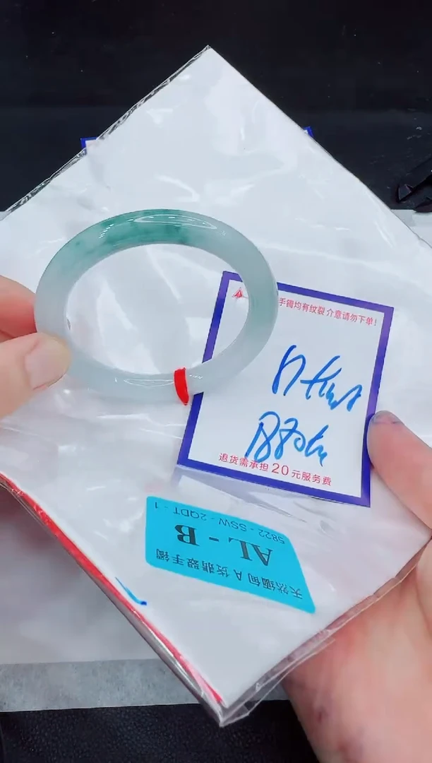 未镶嵌手镯翡翠11111111