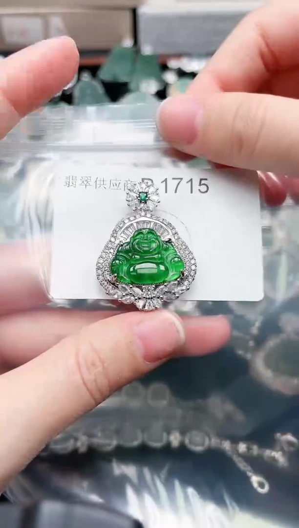 【闪购商品】翡翠颈饰未镶嵌1715赠皮绳