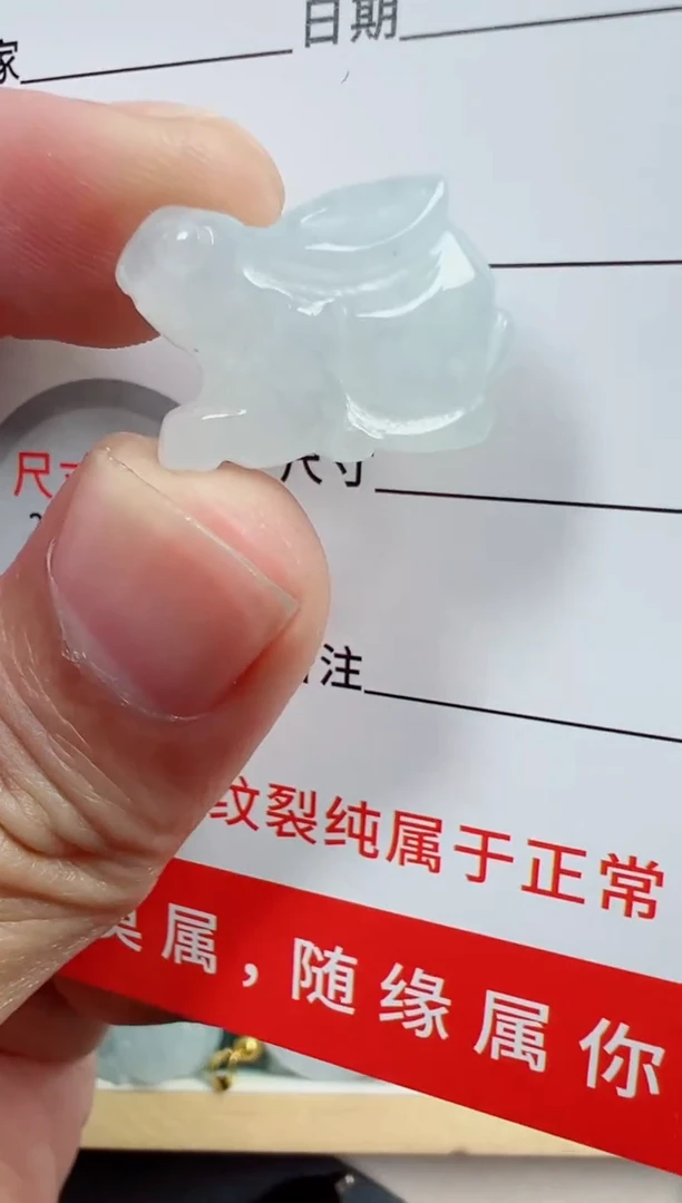 散珠翡翠17号A货翡翠