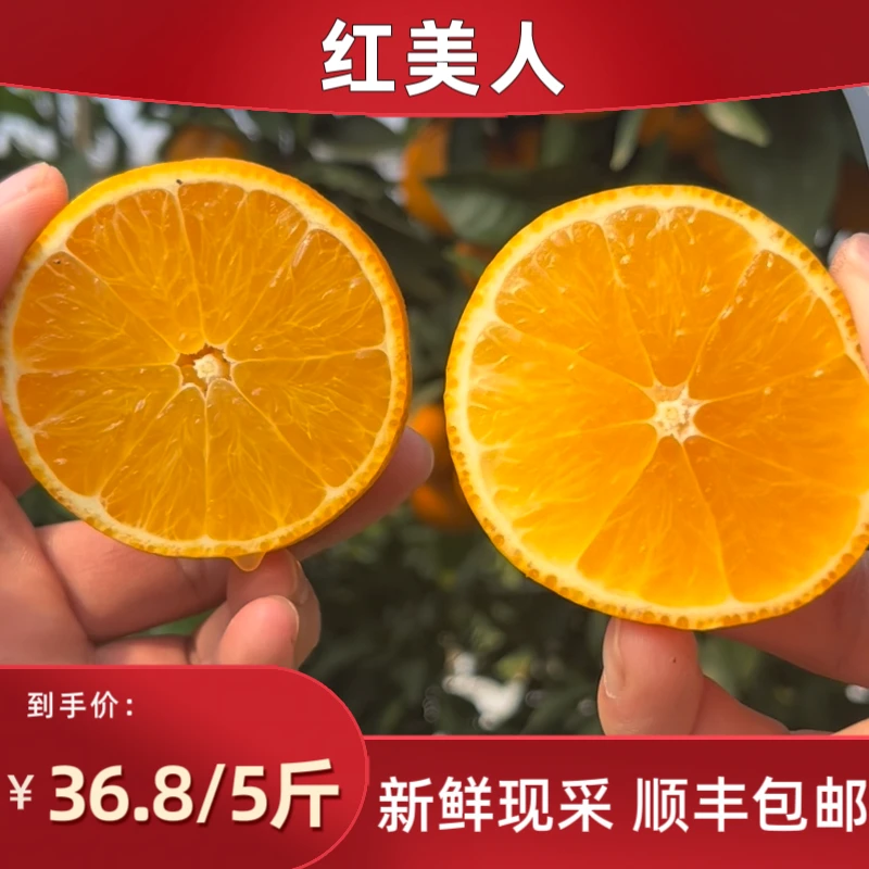 【顺丰】红美人5斤李菜基地爱媛28号果冻橙新鲜现摘应季水果多汁